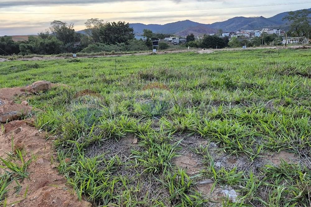 Terreno - Venda - Ipanema , Minas Gerais - 6_image_6_watermark_sáb._08112025_131622.jpg - 870451013-79
