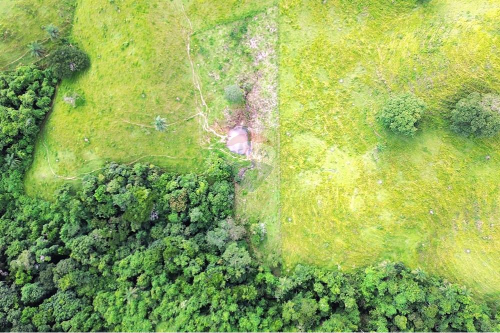 Chácara / Sítio / Fazenda - Venda - Araxá , Minas Gerais - 13.JPG - 870431045-37