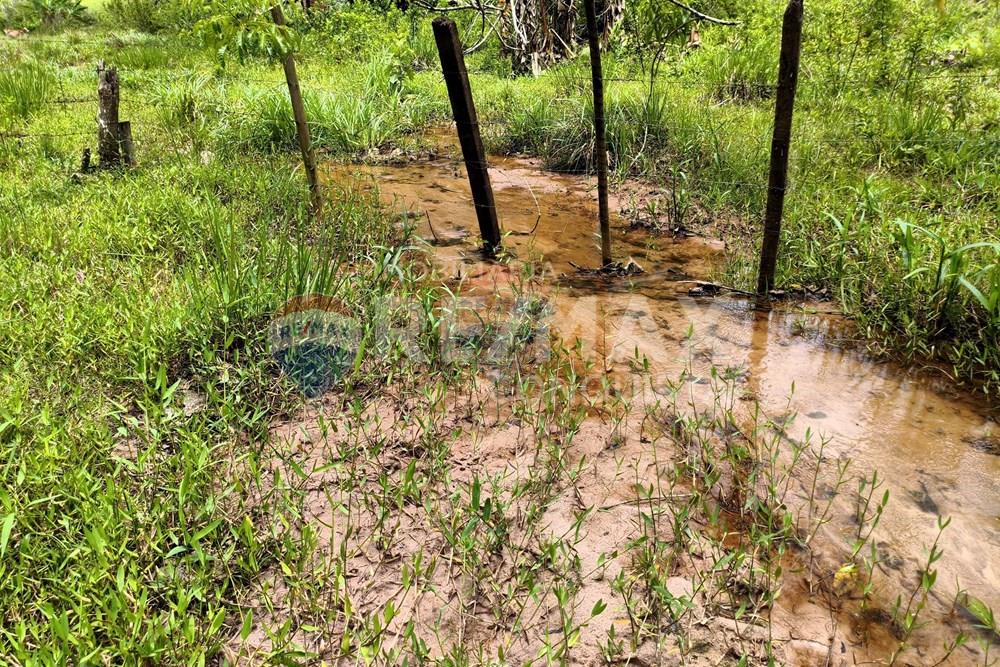 Chácara / Sítio / Fazenda - Venda - Taparuba , Minas Gerais - 6_image_6_watermark_ter._17022026_130734.jpg - 870451001-165