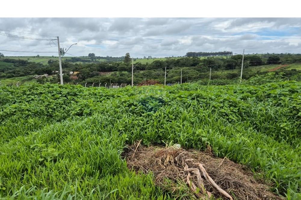 Terreno - Venda - Araxá , Minas Gerais - RODRIGO 1.jpeg - 870431054-10