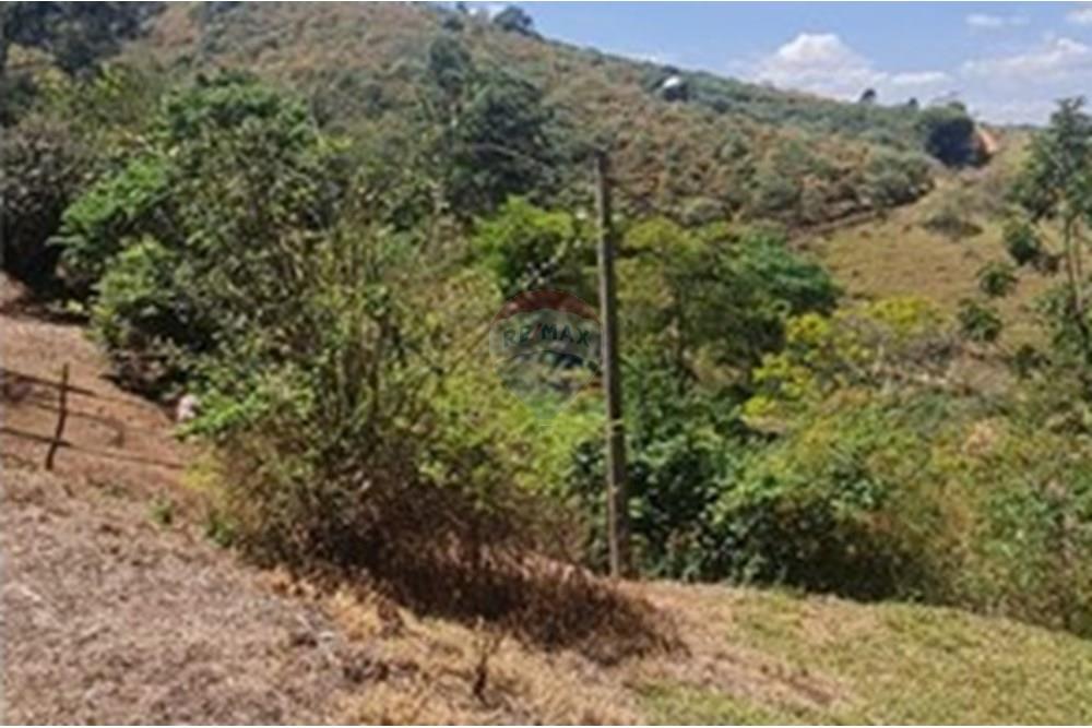 Chácara / Sítio / Fazenda - Venda - Casa Grande , Minas Gerais - foto 33.jpeg - 870411117-20