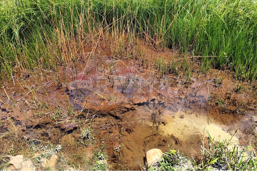 Chácara / Sítio / Fazenda - Venda - Taparuba , Minas Gerais - 0_image_0_watermark_sex._19122025_102341.jpg - 870451001-158