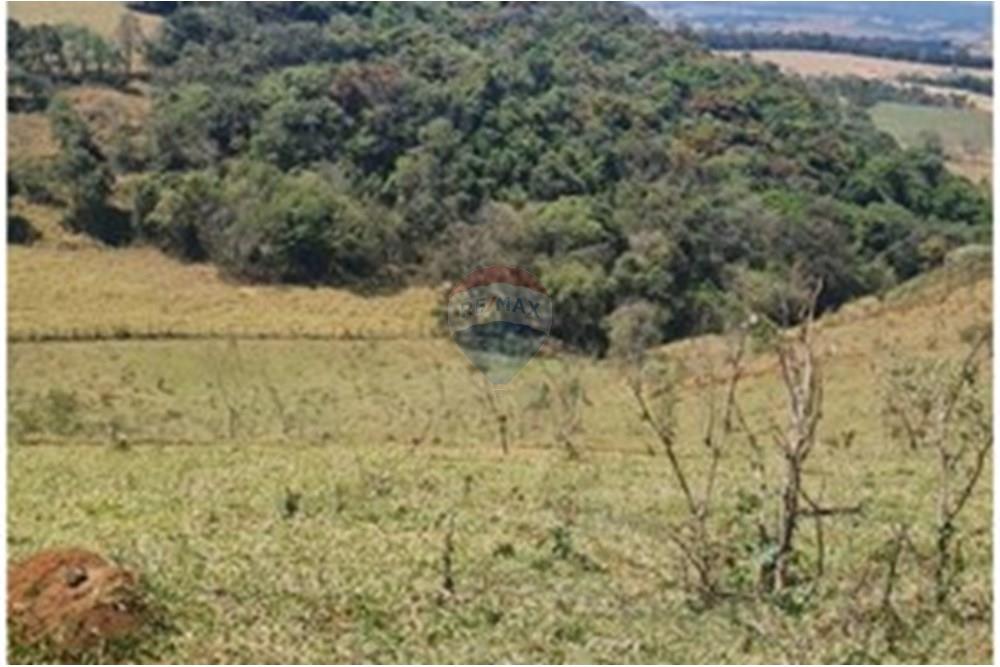 Chácara / Sítio / Fazenda - Venda - Casa Grande , Minas Gerais - foto 24.jpeg - 870411117-20