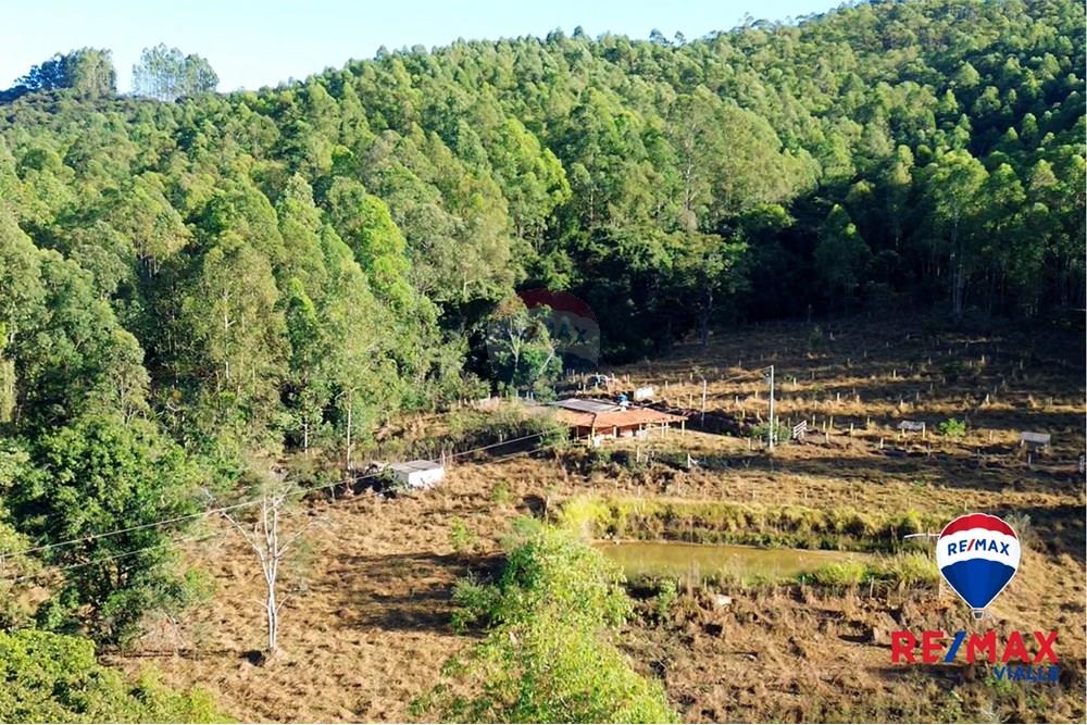 Chácara / Sítio / Fazenda - Venda - São Roque de Minas , Minas Gerais - 7647fd47-cee6-49ab-a2ef-f50d70d08f84.jpg - 870731003-7