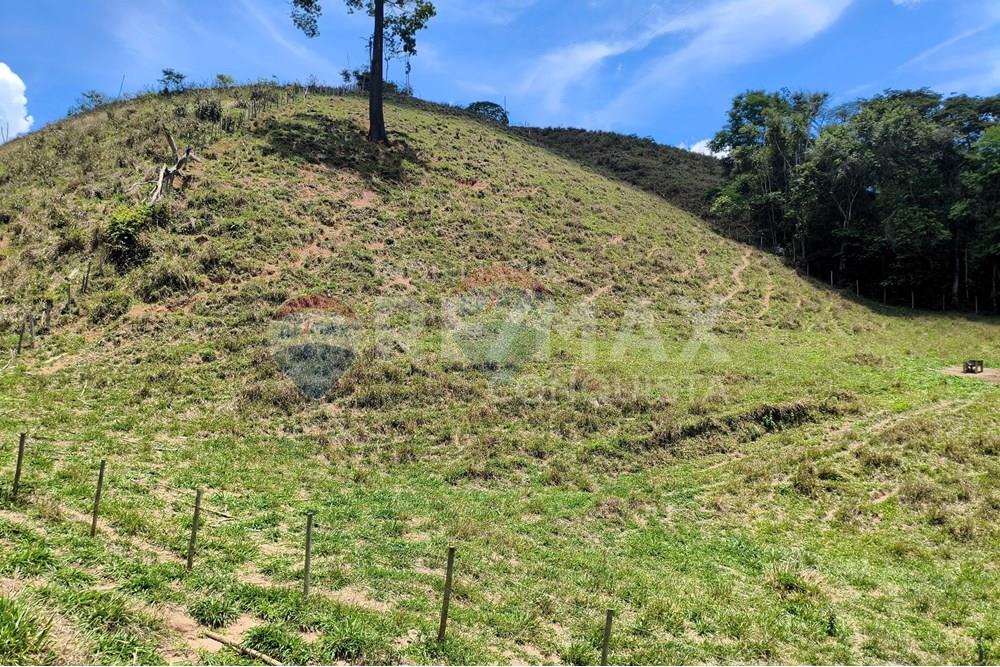 Chácara / Sítio / Fazenda - Venda - Taparuba , Minas Gerais - 1_image_1_watermark_sex._19122025_102130.jpg - 870451001-158