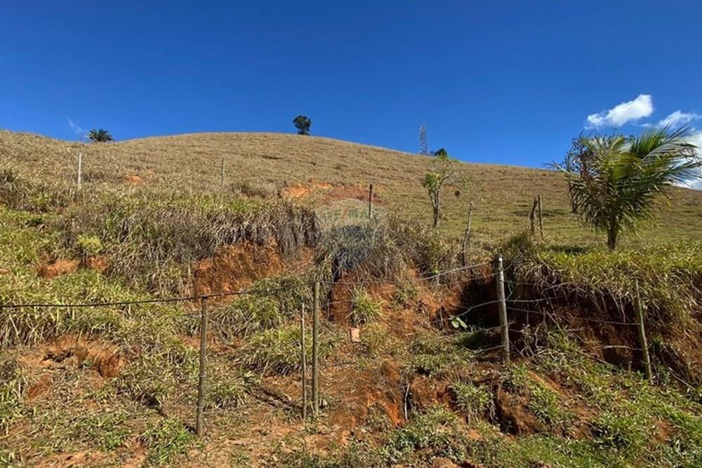 Chácara / Sítio / Fazenda - Venda - Ipatinga , Minas Gerais - WhatsApp Image 2025-10-09 at 17.37.04 (1).jpeg - 870711007-44