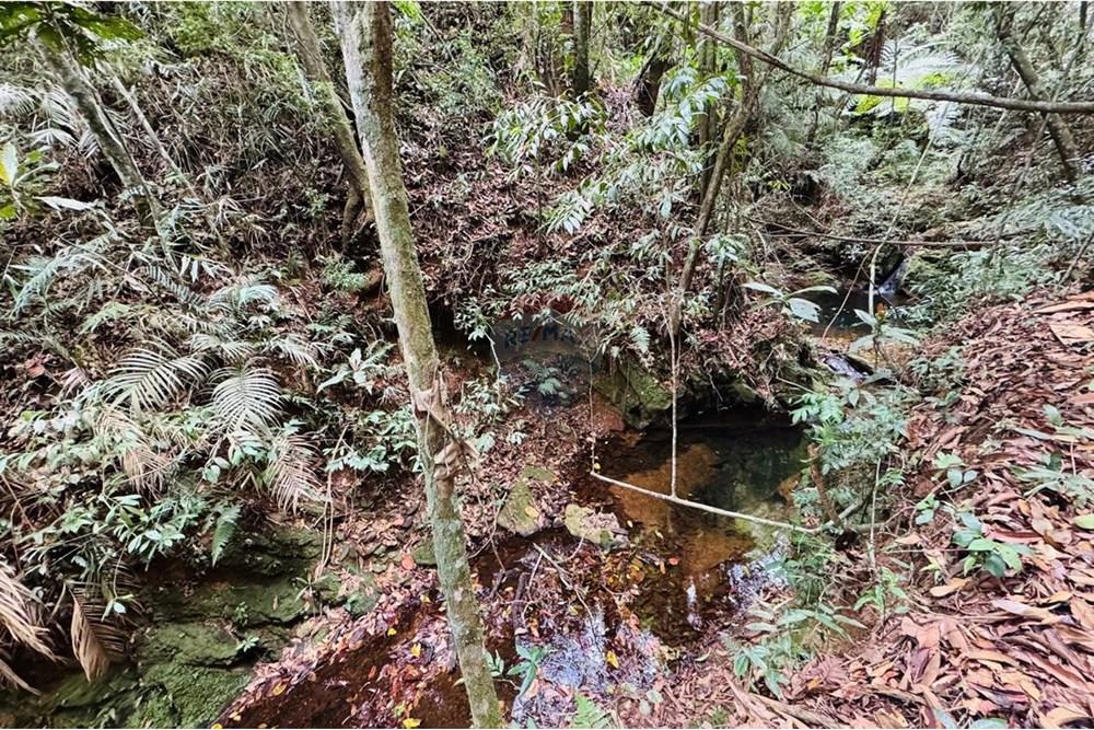 Chácara / Sítio / Fazenda - Venda - Caeté , Minas Gerais - IMG-20251030-WA0344.jpg - 870421116-90