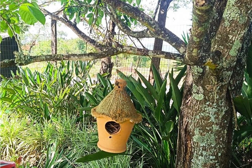 Terreno - Venda - Brumadinho , Minas Gerais - WhatsApp Image 2025-11-20 at 10.07.24 (1).jpeg - 870421014-359