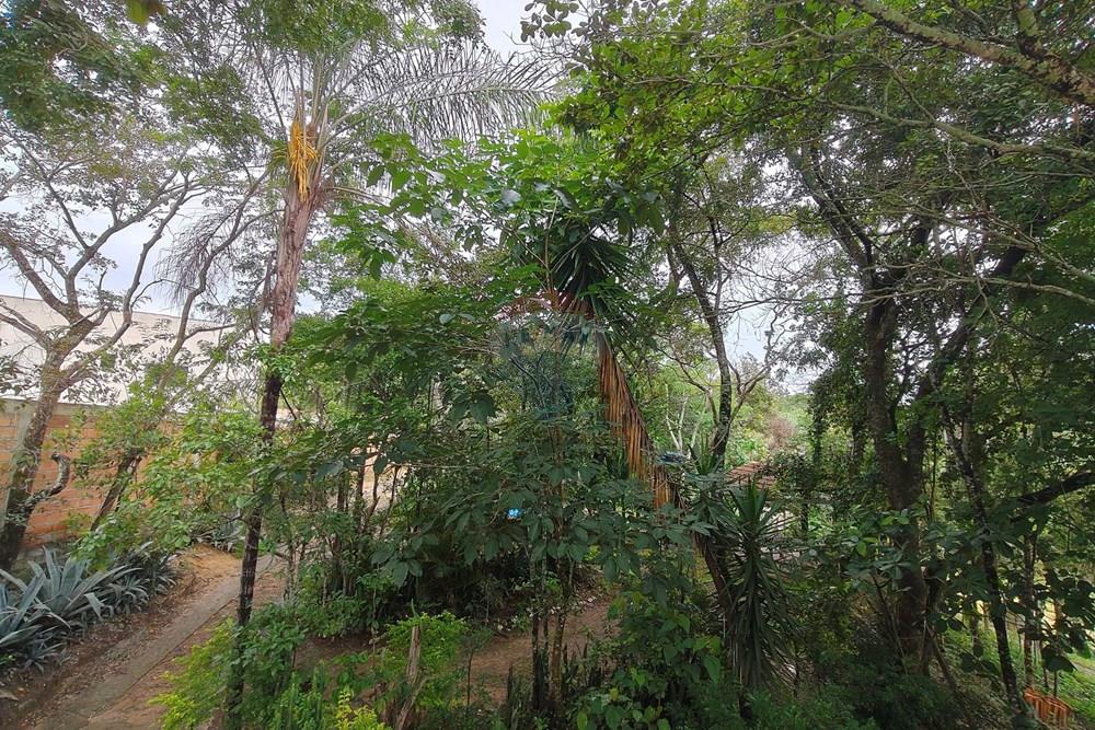 Chácara / Sítio / Fazenda - Venda - Santa Luzia , Minas Gerais - IMG20251220091909.jpg - 870421007-51