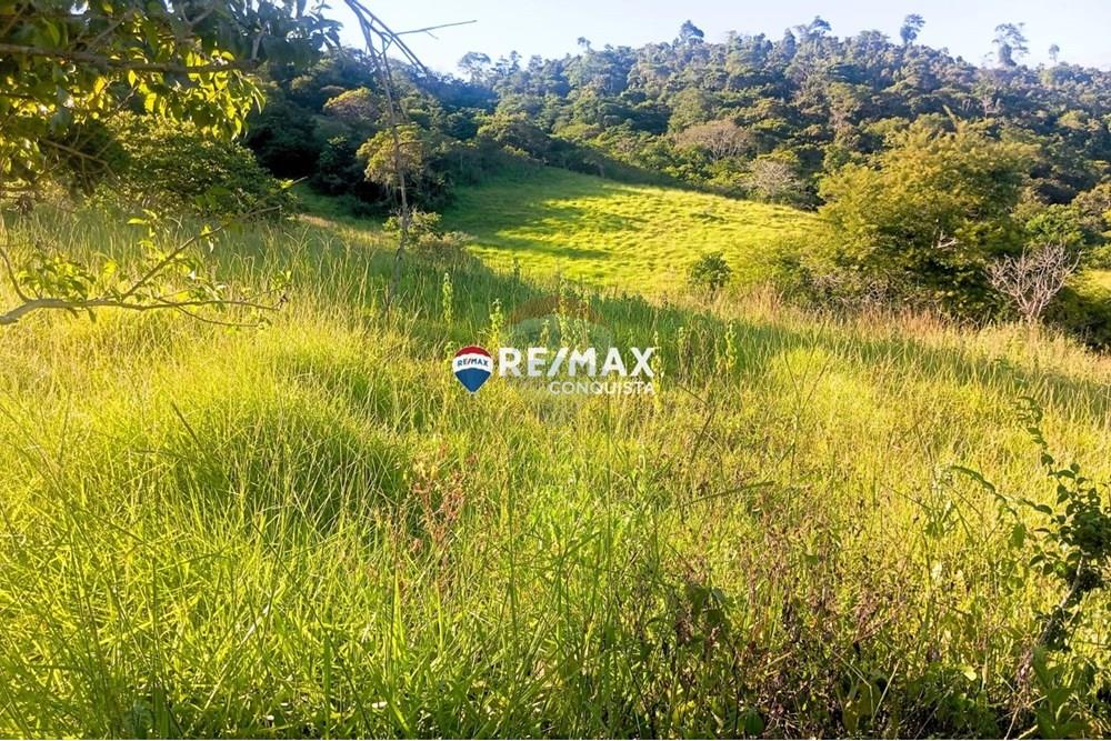 Chácara / Sítio / Fazenda - Venda - Pocrane , Minas Gerais - WhatsApp Image 2025-04-08 at 09.40.31(1).jpeg - 870451001-124