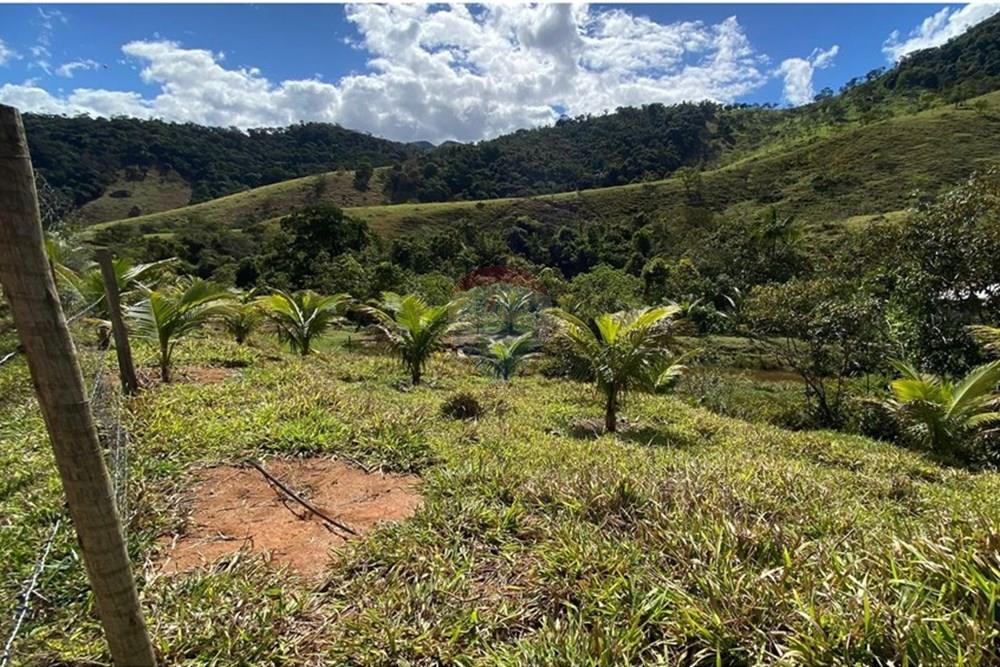 Chácara / Sítio / Fazenda - Venda - Ipatinga , Minas Gerais - WhatsApp Image 2025-10-09 at 17.37.03 (3).jpeg - 870711007-44