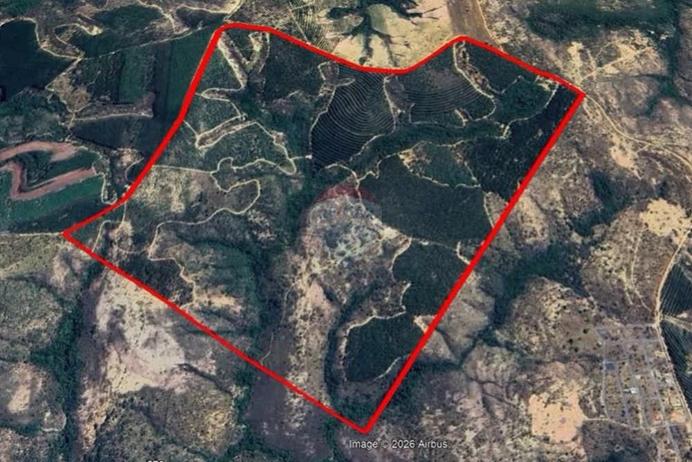 Fazenda - Venda - Inimutaba , Minas Gerais - kml.jpg - 870411101-21