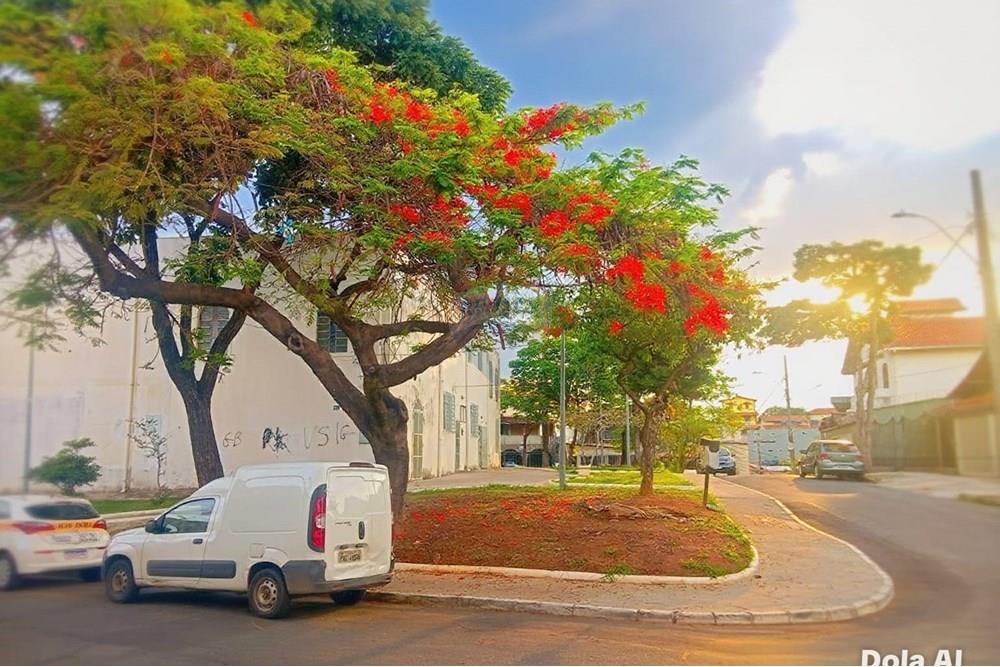 Casa - Alugar - Belo Horizonte , Minas Gerais - Praca ED.jpeg - 870241011-73