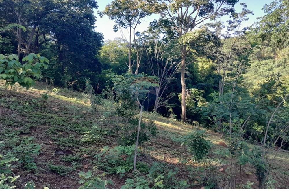 Terreno - Venda - Lagoa Santa , Minas Gerais - FOTO21 FAZENDA .jpg - 870421119-51