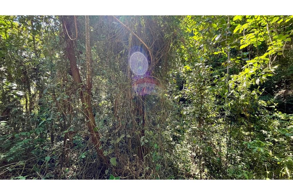 Terreno - Venda - Nova Lima , Minas Gerais - WhatsApp Image 2025-11-04 at 10.48.10 (3).jpeg - 870351032-24