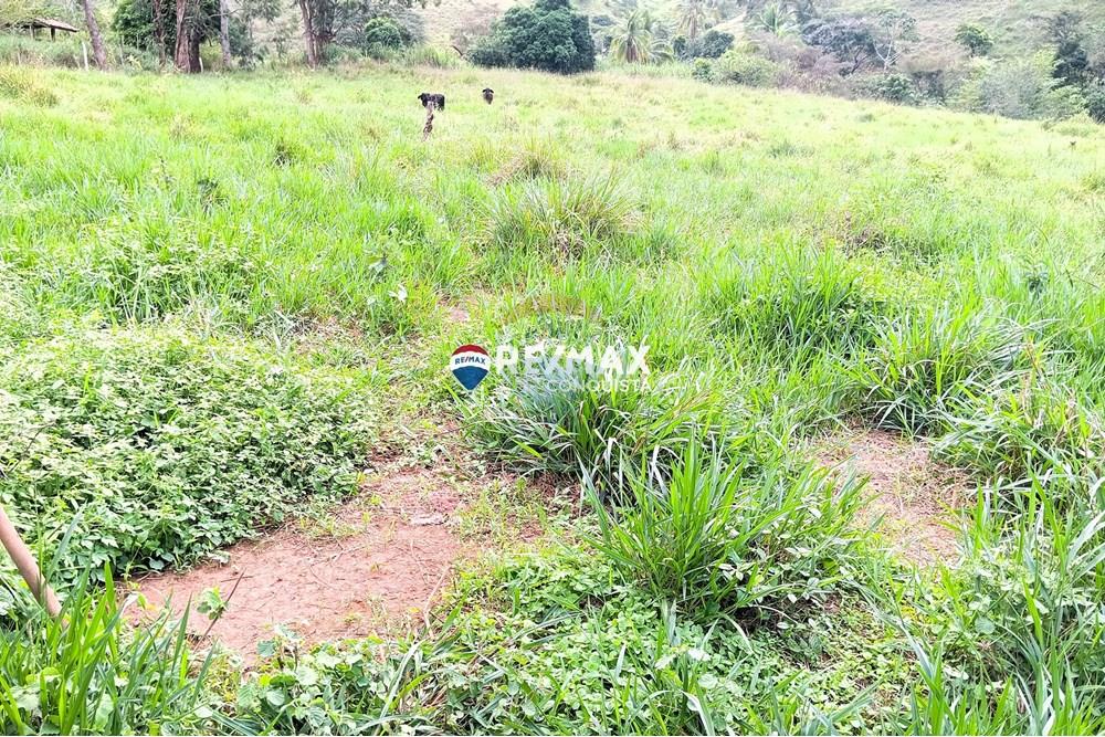 Terreno - Venda - Taparuba , Minas Gerais - 4_image_4_watermark_sex._02052025_102732.jpg - 870451001-127