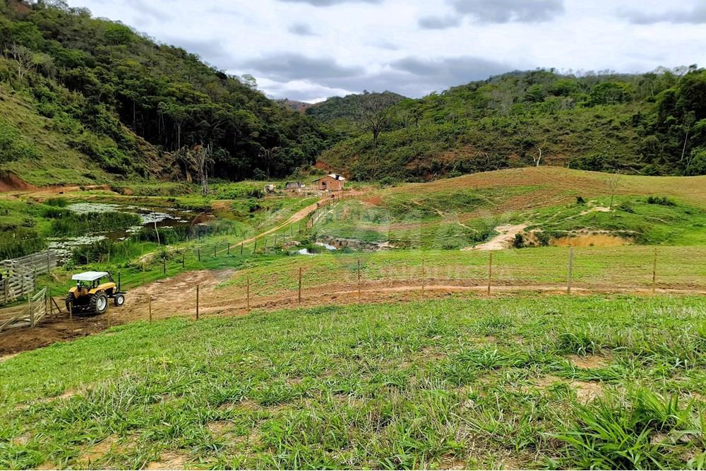 Chácara / Sítio / Fazenda - Venda - Ipanema , Minas Gerais - 7_image_7_watermark_qui._20112025_124903.jpg - 870451013-80