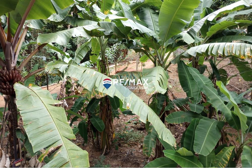 Chácara / Sítio / Fazenda - Venda - Ipanema , Minas Gerais - 6_image_6_watermark_seg._12052025_100736.jpg - 870451004-100