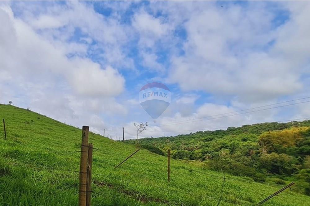 Fazenda - Venda - Pedro Leopoldo , Minas Gerais - WhatsApp Image 2025-12-11 at 15.19.24.jpeg - 870411117-34