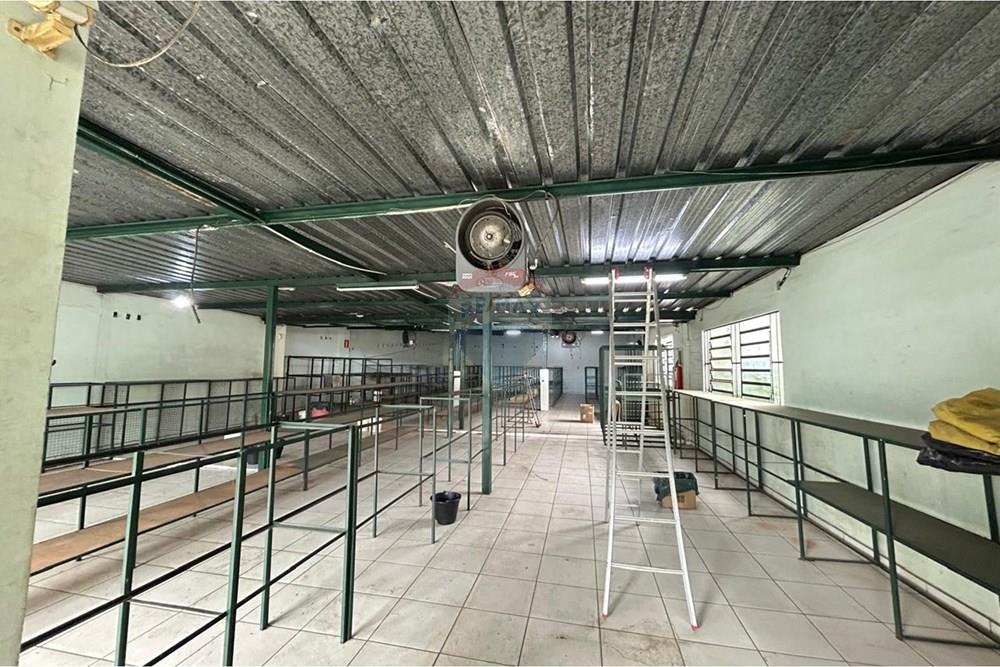 Galpão - Alugar - Belo Horizonte , Minas Gerais - foto (6).jpg - 870411124-9