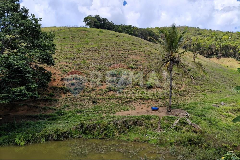 Chácara / Sítio / Fazenda - Venda - Taparuba , Minas Gerais - 5_image_5_watermark_sex._19122025_102005.jpg - 870451001-158