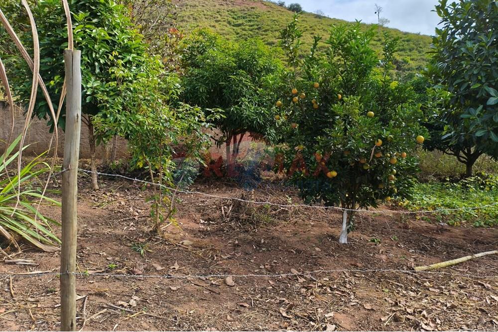 Chácara / Sítio / Fazenda - Venda - Ipanema , Minas Gerais - 1_image_1_watermark_sáb._21062025_165404.jpg - 870451013-66