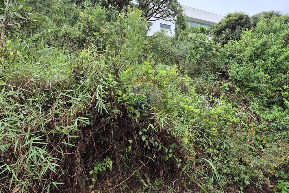 Terreno - Venda - Nova Lima , Minas Gerais - 20260318_105134.jpg - 870421084-35