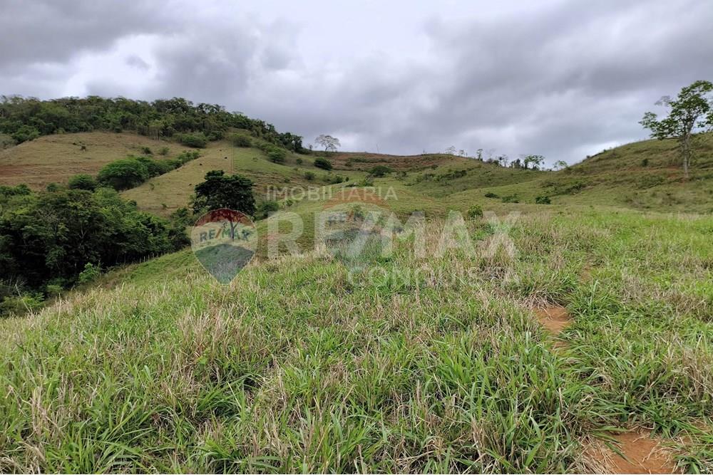 Chácara / Sítio / Fazenda - Venda - Ipanema , Minas Gerais - 5_image_5_watermark_qui._20112025_124246.jpg - 870451013-80