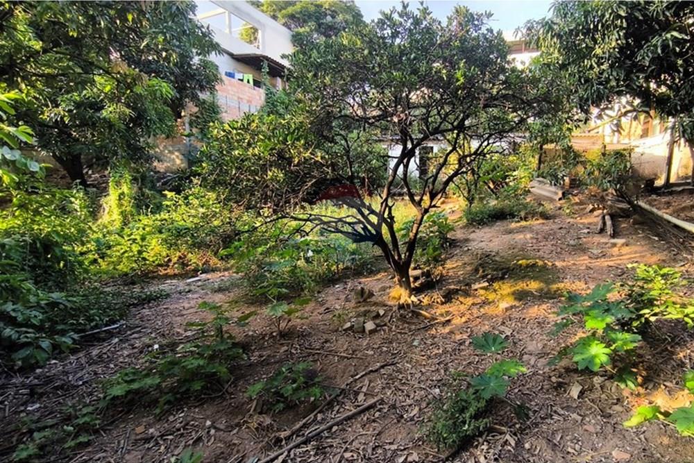 Terreno - Venda - Ibirité , Minas Gerais - 1744312819518.jpg - 870421081-6