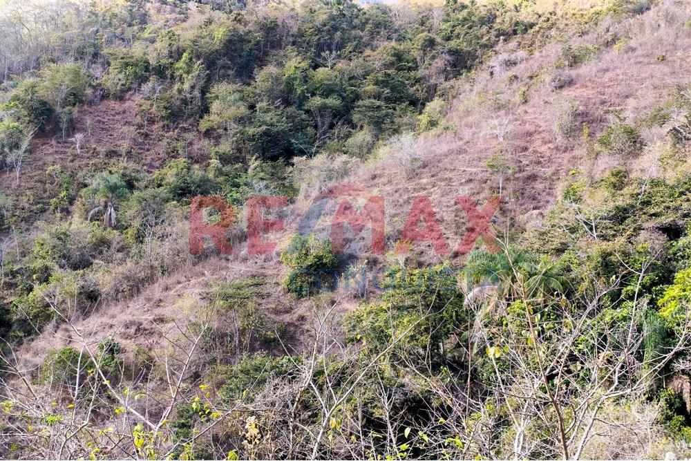 Chácara / Sítio / Fazenda - Venda - Ipanema , Minas Gerais - 0_image_0_watermark_seg._15092025_150602.jpg - 870451013-72