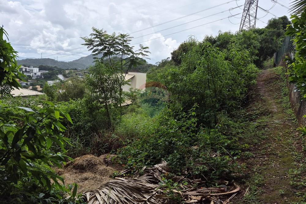 Terreno - Venda - Nova Lima , Minas Gerais - 20260318_105414.jpg - 870421084-35