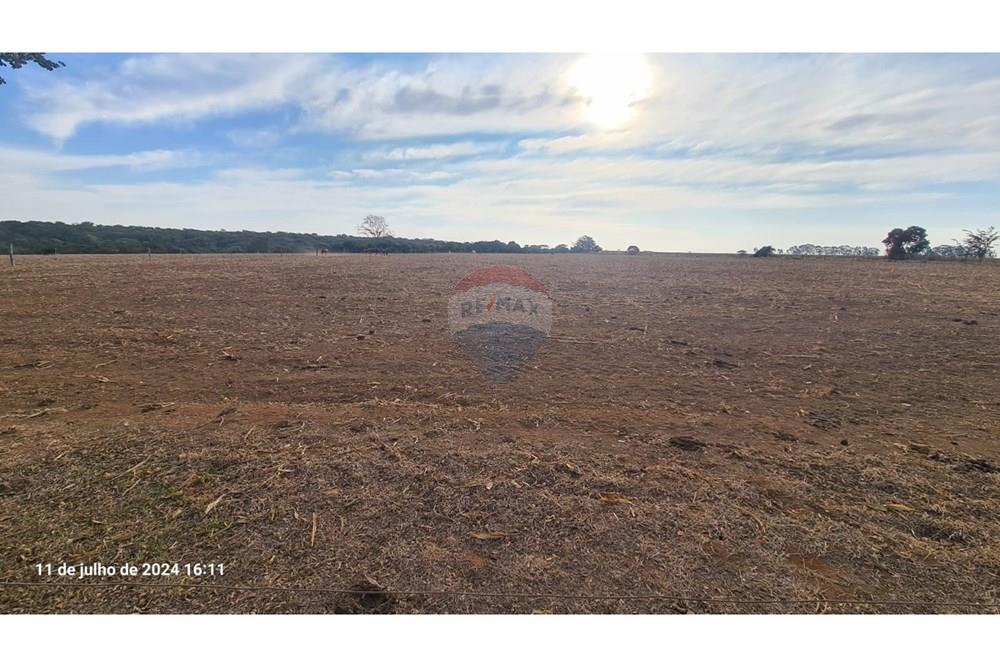 Chácara / Sítio / Fazenda - Venda - Uberaba , Minas Gerais -  (11).jpeg - 870291025-115