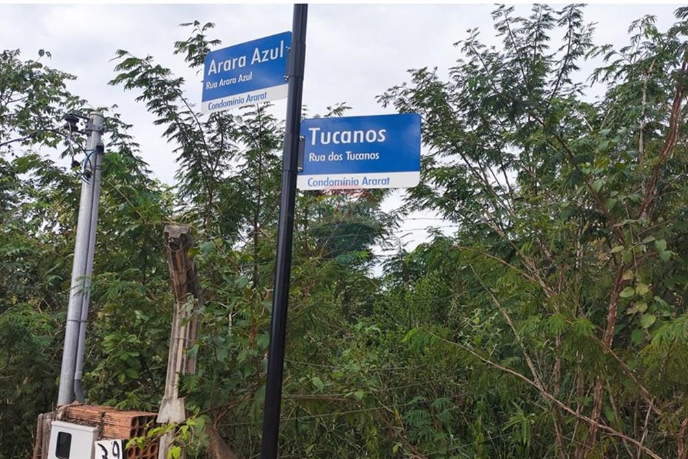 Terreno - Venda - Ribeirão das Neves , Minas Gerais - IMG_20250609_152133.jpg - 870421052-46