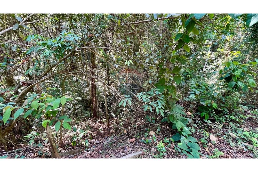 Terreno - Venda - Nova Lima , Minas Gerais - WhatsApp Image 2025-11-04 at 10.48.11 (4).jpeg - 870351032-24