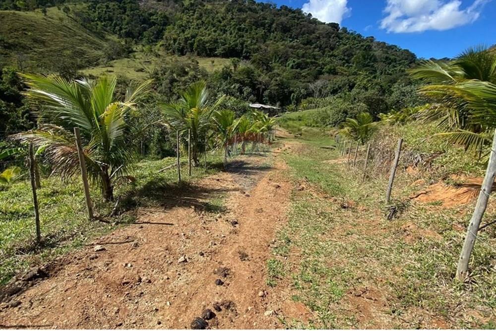 Chácara / Sítio / Fazenda - Venda - Ipatinga , Minas Gerais - WhatsApp Image 2025-10-09 at 17.37.03 (2).jpeg - 870711007-44