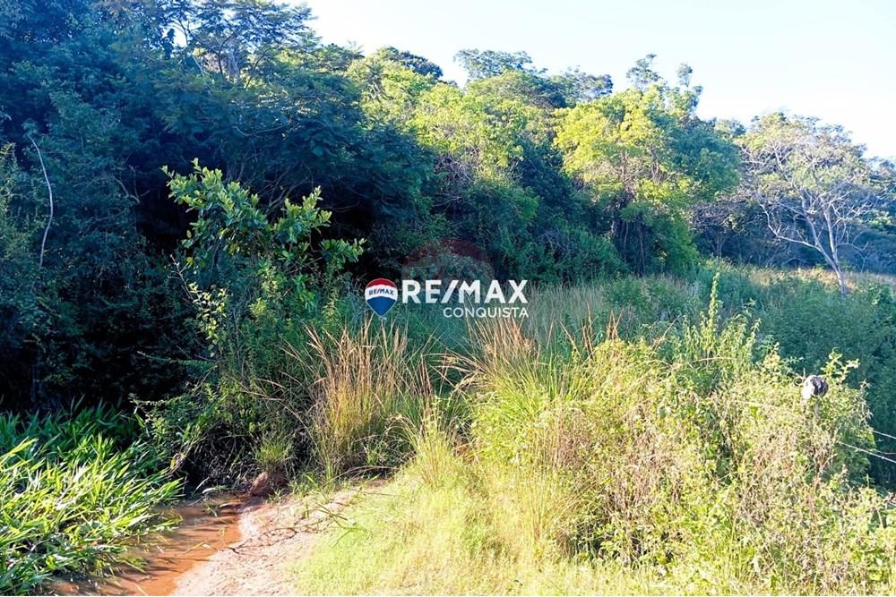 Chácara / Sítio / Fazenda - Venda - Pocrane , Minas Gerais - WhatsApp Image 2025-04-08 at 09.40.29(2).jpeg - 870451001-124