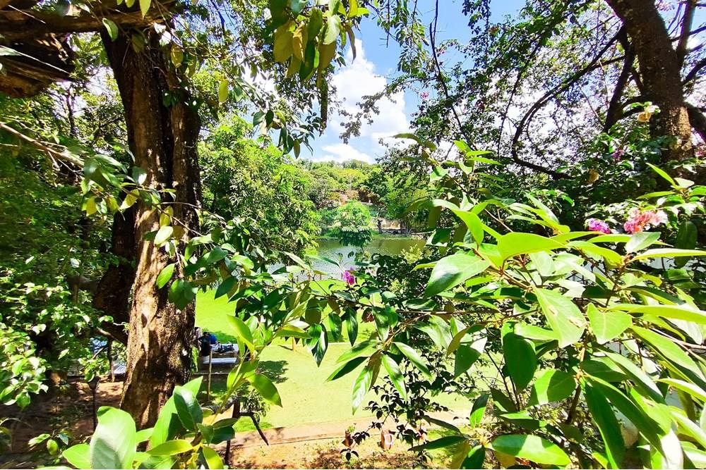 Terreno - Venda - Vespasiano , Minas Gerais - IMG_20251130_125903.jpg - 870251115-3