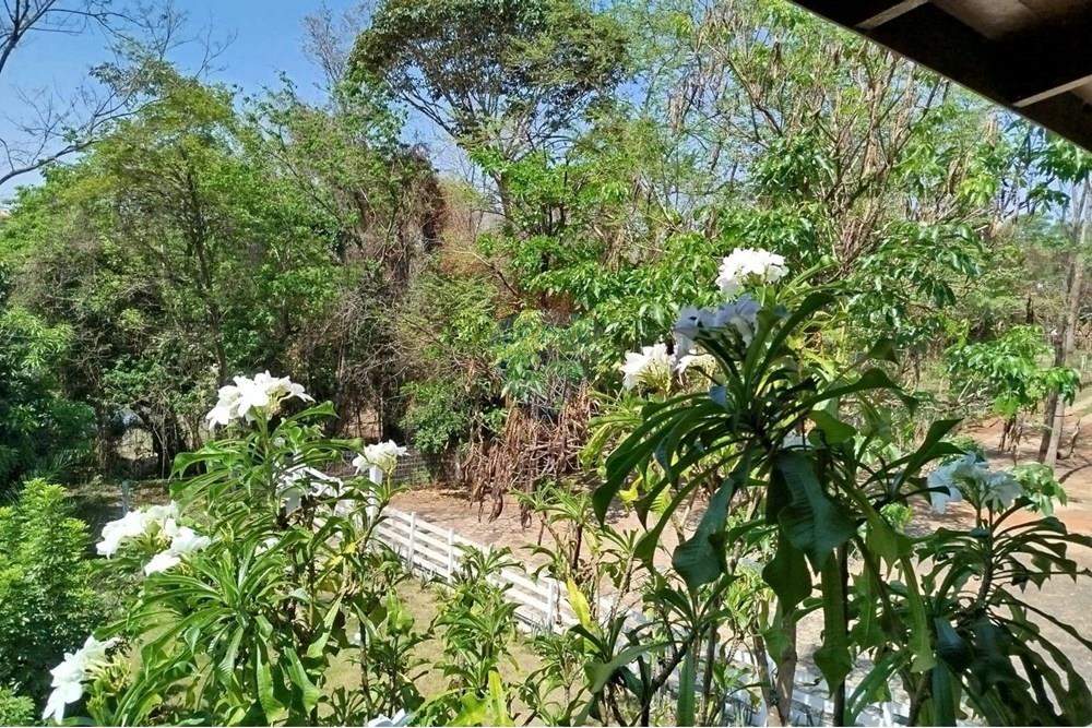 Casa de Campo - Venda - Delfinópolis , Minas Gerais - WhatsApp Image 2025-10-10 at 18.06.35 (1).jpeg - 870721003-5