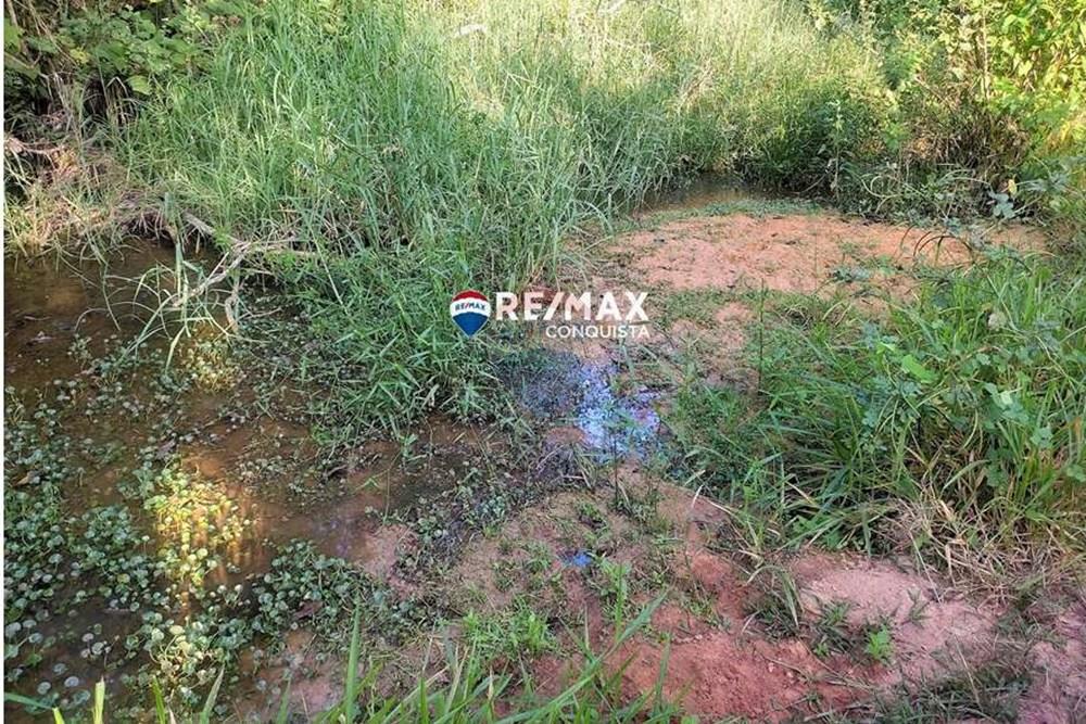 Chácara / Sítio / Fazenda - Venda - Ipanema , Minas Gerais - 3_IMG_20240515_075042_watermark_dom._23062024_100143.jpg - 870451001-121