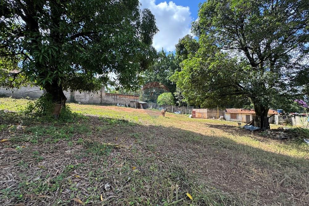 Terreno - Venda - Belo Horizonte , Minas Gerais - IMG_9671.JPG - 870411141-20