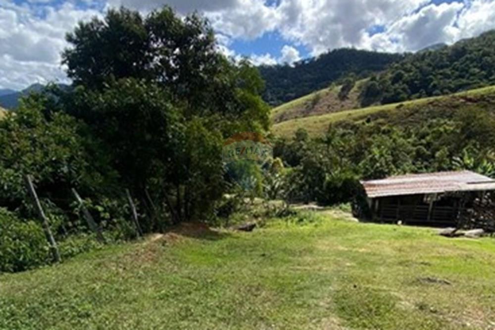 Chácara / Sítio / Fazenda - Venda - Ipatinga , Minas Gerais - WhatsApp Image 2025-10-09 at 17.37.07 (1).jpeg - 870711007-44