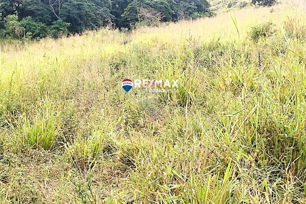 Chácara / Sítio / Fazenda - Venda - Ipanema , Minas Gerais - 3_IMG_20240515_083203_watermark_dom._23062024_100917.jpg - 870451001-121