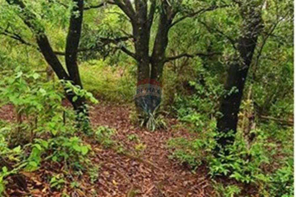 Fazenda - Venda - Pedro Leopoldo , Minas Gerais - WhatsApp Image 2025-12-11 at 16.48.48.jpeg - 870411117-34