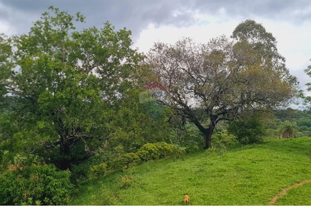 Fazenda - Venda - Pedro Leopoldo , Minas Gerais - WhatsApp Image 2025-12-11 at 15.17.57 (1).jpeg - 870411117-34