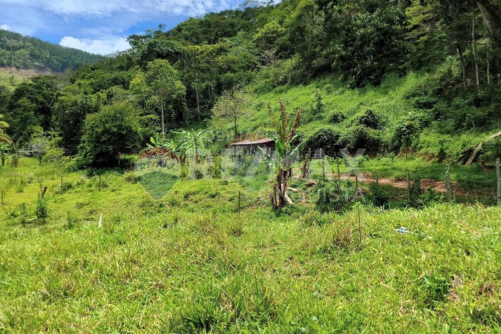 Chácara / Sítio / Fazenda - Venda - Taparuba , Minas Gerais - 6_image_6_watermark_ter._17022026_130557.jpg - 870451001-165