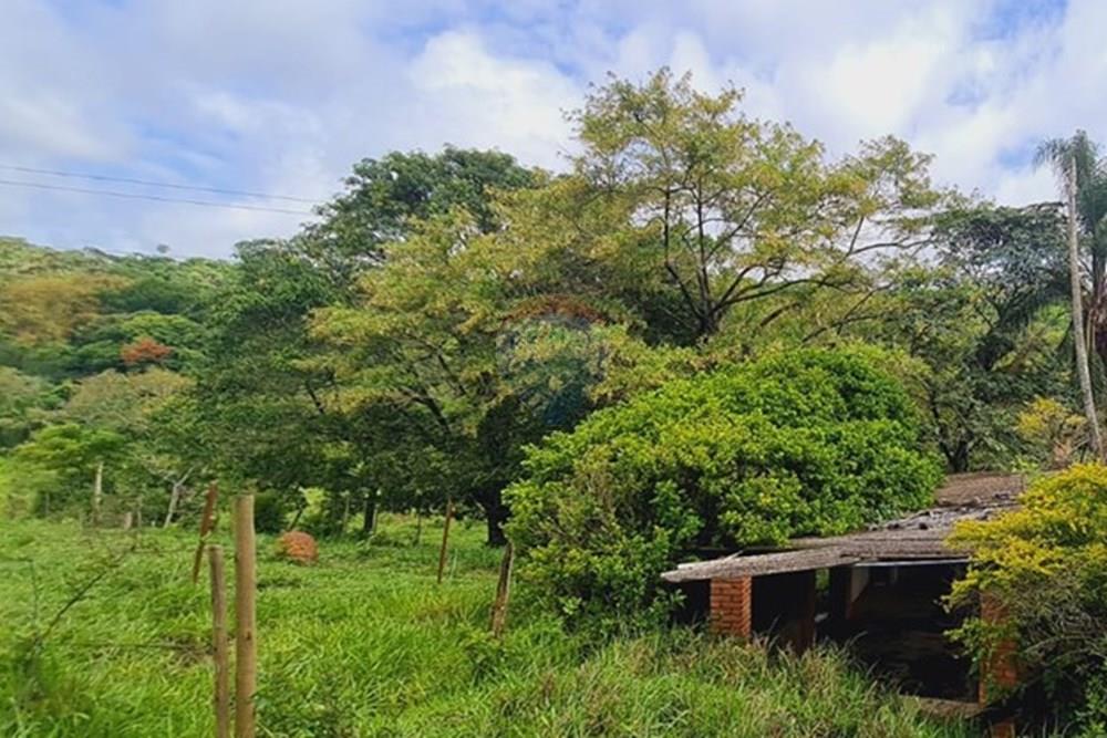 Fazenda - Venda - Pedro Leopoldo , Minas Gerais - foto 39.jpeg - 870411117-34