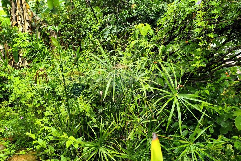 Casa - Venda - Ipanema , Minas Gerais - 5_image_5_watermark_qua._21012026_191105.jpg - 870451001-162