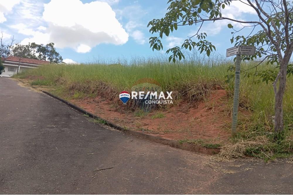 Chácara / Sítio / Fazenda - Venda - Ipanema , Minas Gerais - WhatsApp Image 2025-02-19 at 16.28.29.jpeg - 870451013-54