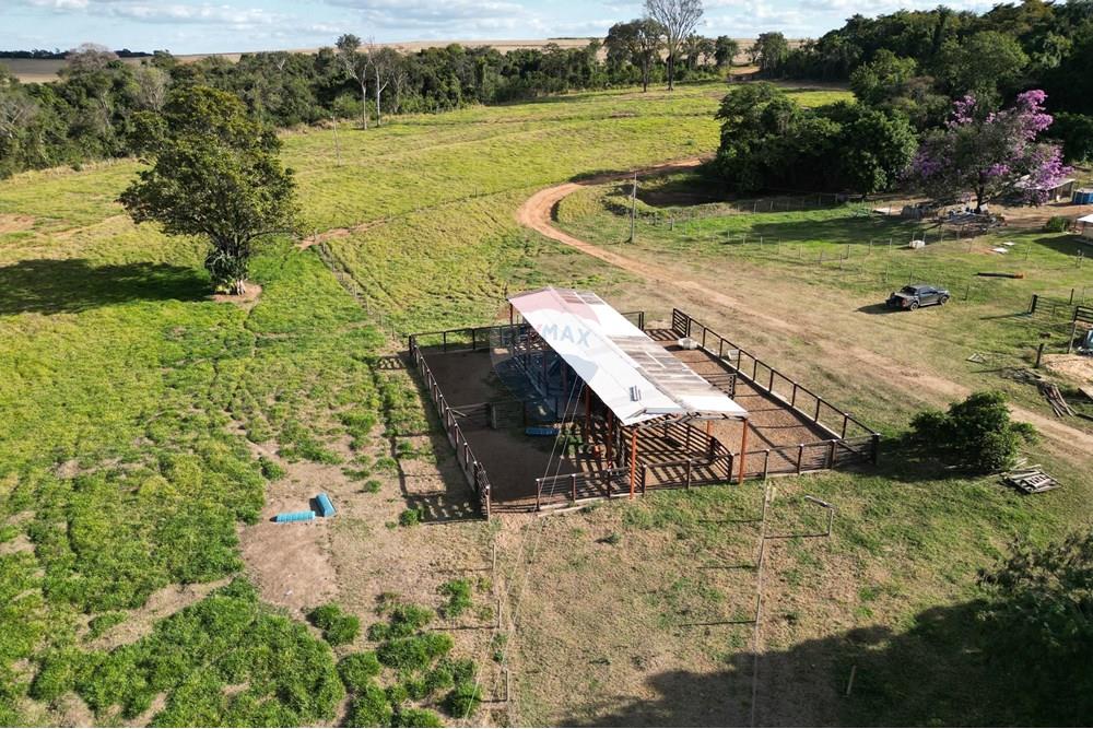 Fazenda - Venda - Uberaba , Minas Gerais - B2.jpeg - 870291037-12