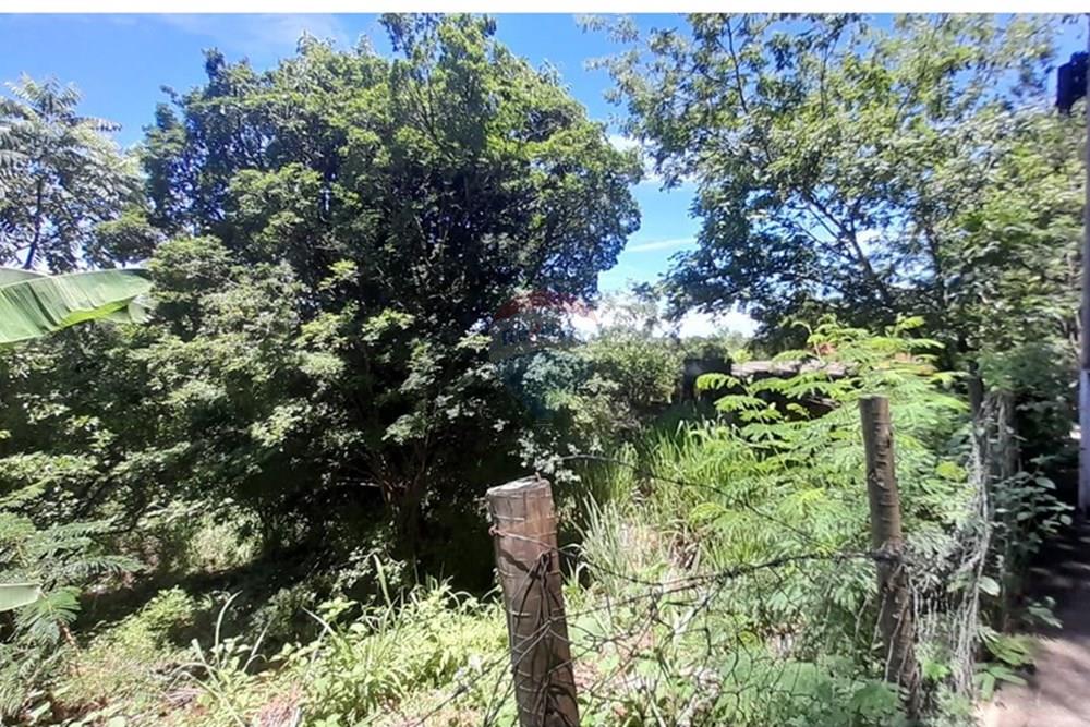 Terreno - Venda - Lagoa Santa , Minas Gerais - GLEBA FOTO4.jpg - 870421119-44